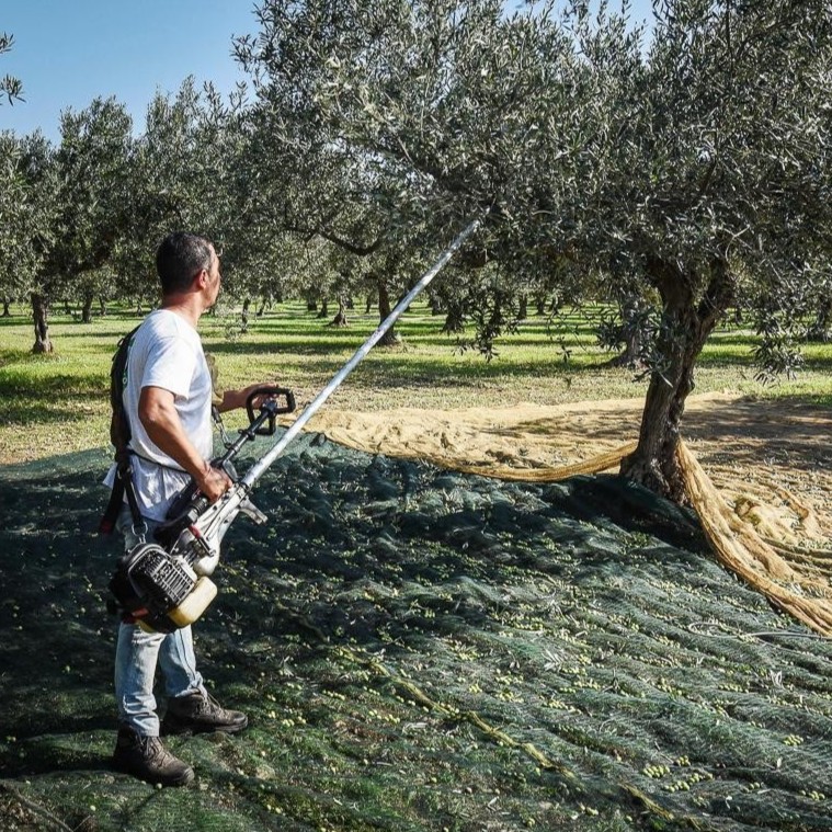 Mašina za tresanje maslina SC605B - Image 3